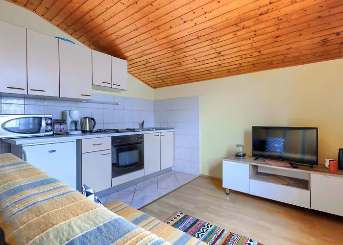 Apartment Ruza - Pul611 By Interhome